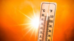 Türkiye yazın kavrulacak: Sıcaklık rekorları kırılacak