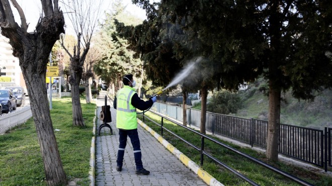 Balçova’da ilaçlama seferberliği