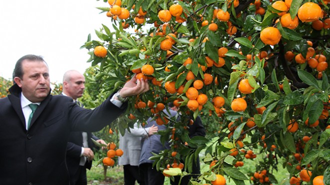 Başkan Soylu mağdur üreticinin yanında!