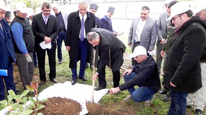 Bereket Ormanları na Ödemiş ten fidan