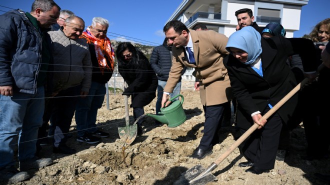 Bornova’da Misket Üzümü yeniden doğuyor!