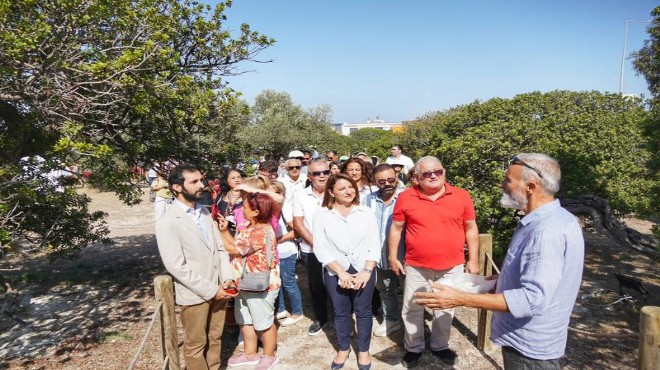 Çeşme de hedef 100 bin sakız ağacı