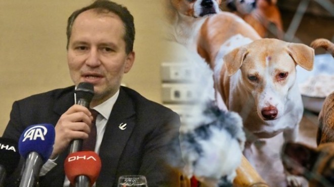 Erbakan dan sokak hayvanları açıklaması!