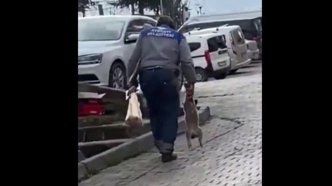 Görüntüler tepki çekmişti: Uyarı geldi!