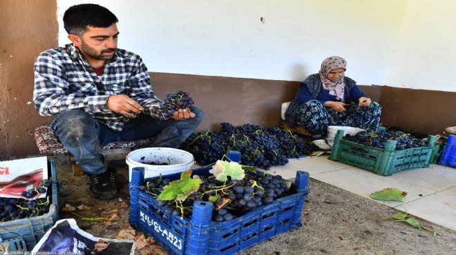 Hem üreticiye hem dar gelirliye destek