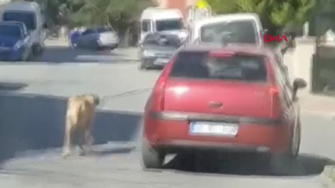 İple bağladı, köpeğini peşinden koşturdu!