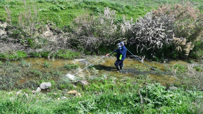 İzmir de 300 bin noktada sinek ve haşere ile mücadele!