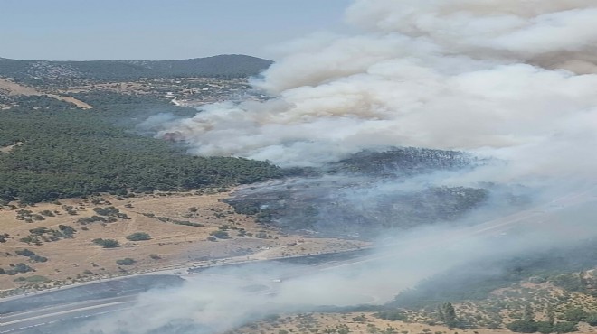 İzmir de orman yangını 2 nci günü: Müdahile yeniden başladı