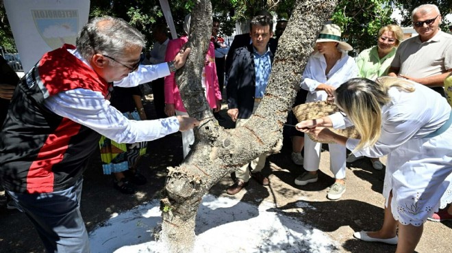 İzmir'de damla sakızda hedef 6 ton!