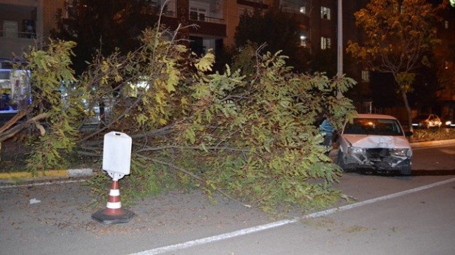 İzmir de feci kaza: Önce arabaya sonra ağaca!