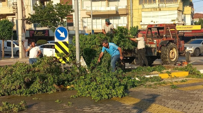 İzmir'de kuvvetli rüzgar: Ağaçlar devrildi!