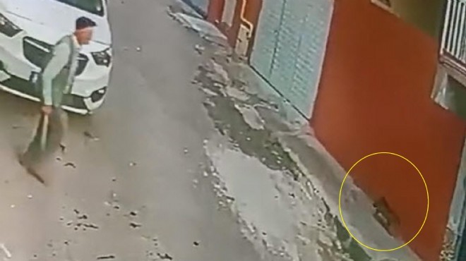 İzmir'de sokak kedisine keserli saldırı!