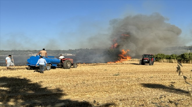 İzmir de tarım arazisinde yangın!