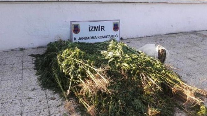 İzmir de zehir tacirlerine büyük darbe!