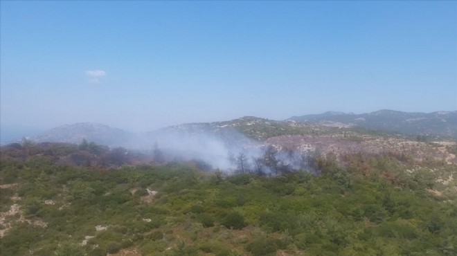 İzmir'in o ilçesinde yine orman yangını paniği!