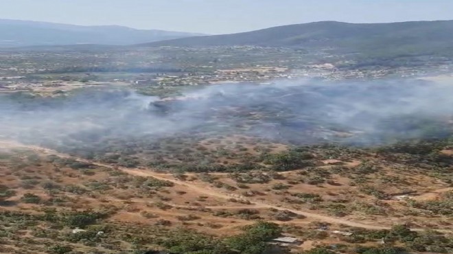 İzmir’de bir orman yangını daha: 2 saatte söndürüldü