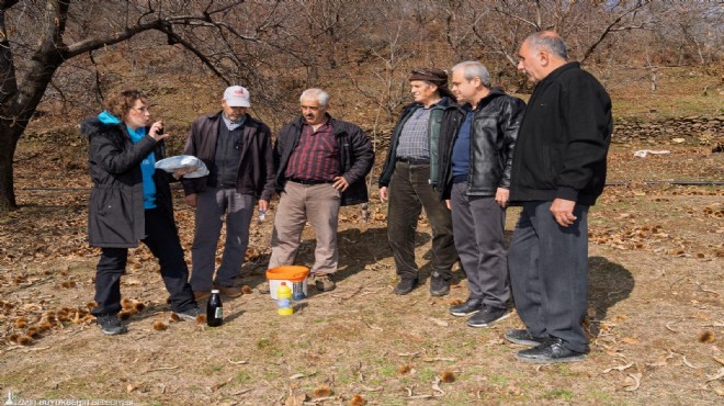 İzmir’de ‘kestane kanseri’ne karşı seferberlik!