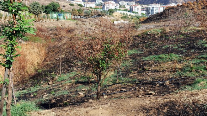 Karşıyaka Kent Ormanı’na can suyu!