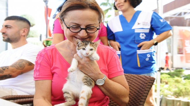 Karşıyaka’da can dostlara sıcak yuva aranıyor