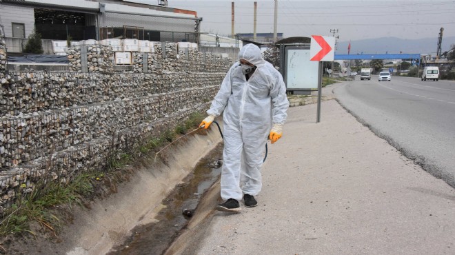 Kemalpaşa'da larva ile mücadele