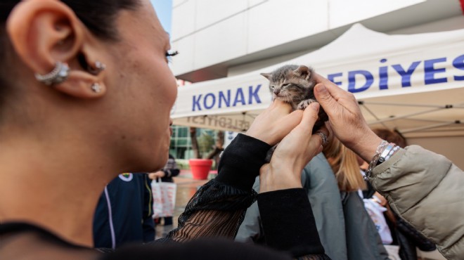 Konak Belediyesi 7 bin patili cana kucak açtı