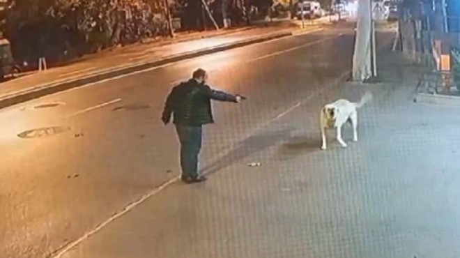 Köpeğe silah doğrultmuştu: Serbest bırakıldı!