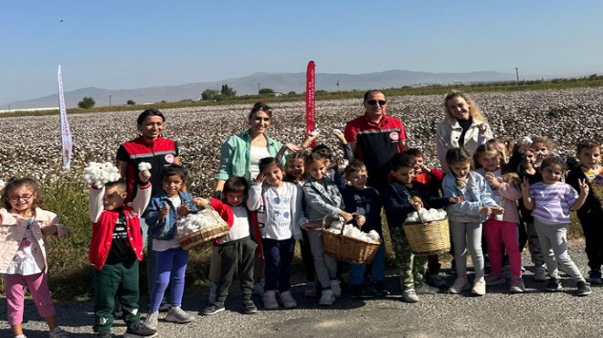 Menemen’de pamuk hasadı miniklerden!