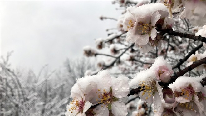 Meteorolojiden İzmir için zirai don uyarısı