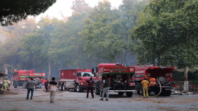 Selçuk-Kuşadası nda yangın paniği: Otoyol kapatıldı, evler, oteller ve barınak boşaltıldı