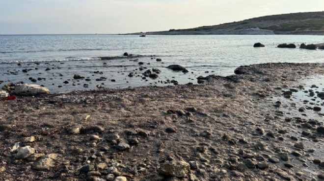  Çeşme de çevre felaketi  iddiasına İZSU dan açıklama!