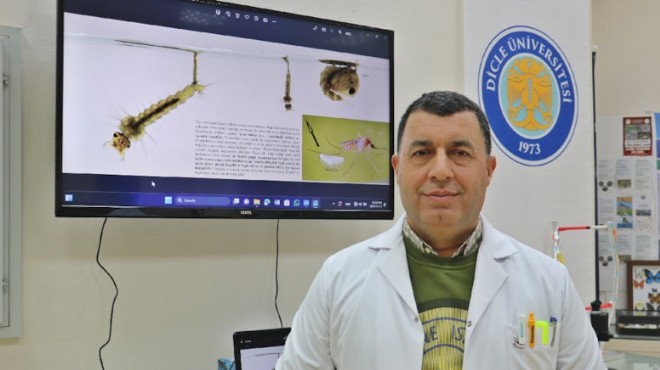 Uzman isim uyardı: Larva döneminde mücadele şart