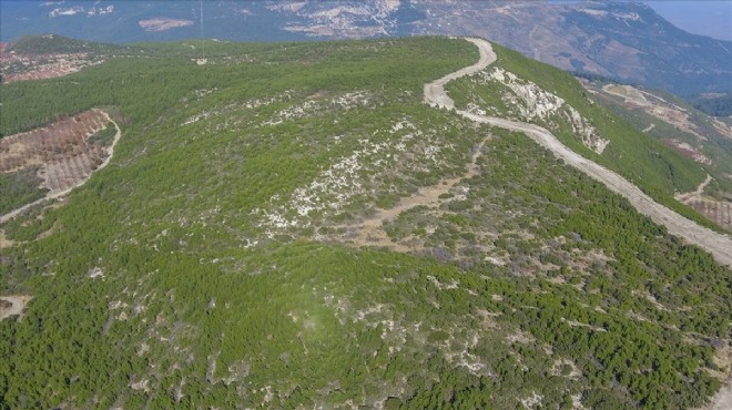 Yalaköy de o yangının izleri silindi