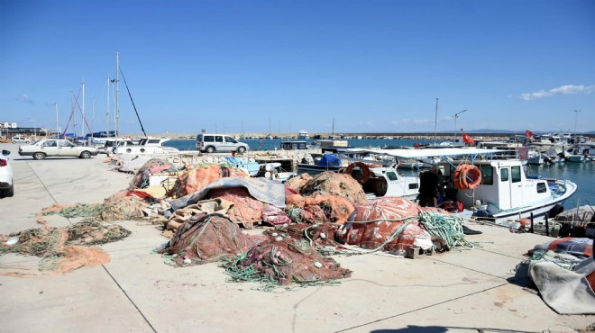 Yasağa rağmen algarna yöntemiyle deniz patlıcanı avına tepki