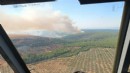 Menderes'teki orman yangını kontrol altında!