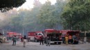 İzmir'de orman yangınları: Selçuk ve Menderes'teki yangınlar kontrol altına alındı