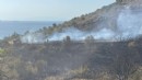 İzmir'de otomobilden sıçrayan yangın söndürüldü