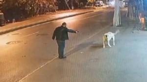 Köpeğe silah doğrultmuştu: Serbest bırakıldı!