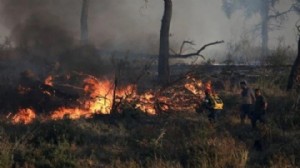 Yunanistan'da 24 saatte 52 orman yangını!