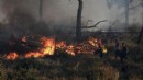 Yunanistan'da 24 saatte 52 orman yangını!