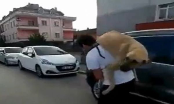 İzmir'de duygulandıran görüntü: Hasta köpeği veterinere sırtında taşıdı!